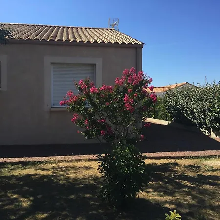 Maison Neuve A : Confort Et Tranquillite Proche - Fr-1-336-117 Longeville-sur-Mer